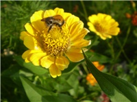 d882c1c0-Picture 6409.jpg